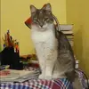 Отзыв от Эмма Кузьмина